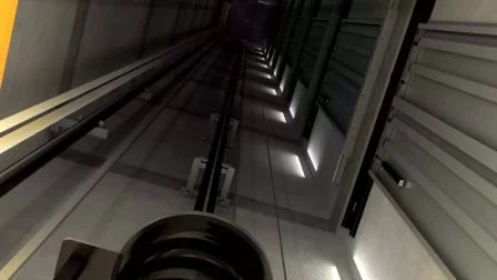 Dsk Лифт Безопасный автомобильный лифт Грузовой лифт Грузовой лифт с машинным помещением Грузовой лифт